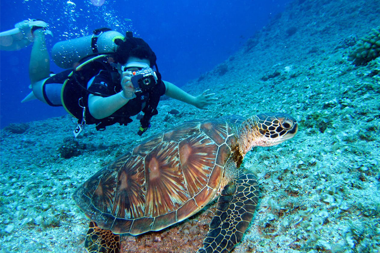 scuba-diving